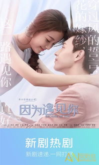 女生必看热播短剧排行榜，适合女生看的高分电视剧