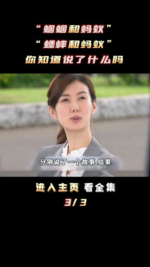 热播短剧解说全集免费无水印 - 热播短剧解说全集免费无水印视频