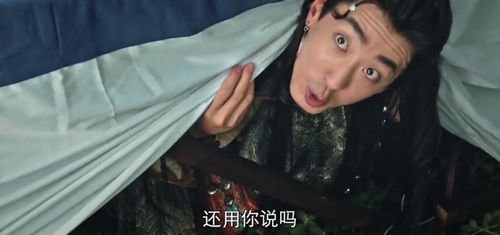 短剧热播剧好剧天天看（短剧免费观看）