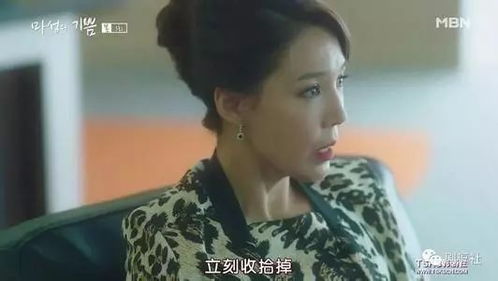热播短剧一见钟情在线观看：一见钟情 在线