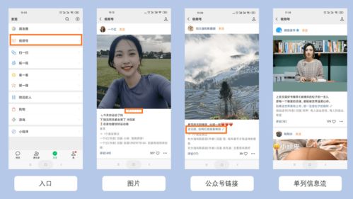 抖音快手热播短剧在哪看：抖音快手短视频在线观看