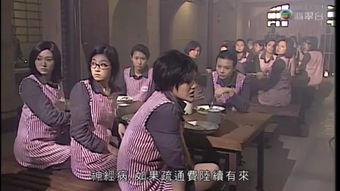 10年前热播短剧（十年前的好剧）