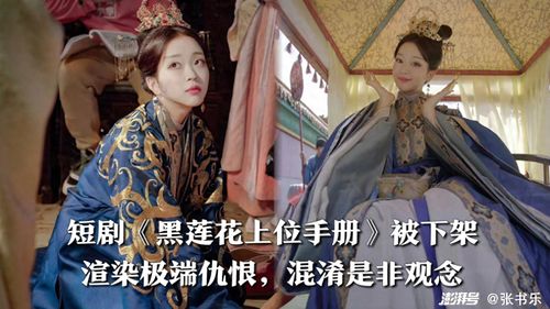 热播短剧复仇医婿全集，复仇医妃免费读