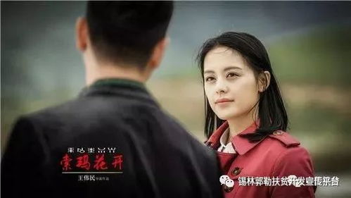 情靡短剧热播大结局，情靡半生完整版