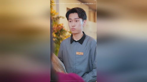 短剧热播追剧推荐计划 - 短剧热播追剧推荐计划在线观看