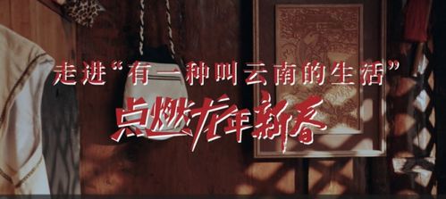小白追剧短剧热播在哪看：小白免费连续剧网