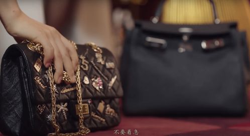 热播短剧富婆在线播放：富婆是哪个电视剧
