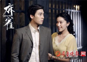麻雀短剧热播中文版，连续剧麻雀