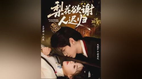 热播短剧来袭的电视剧【热播短剧来袭的电视剧推荐】