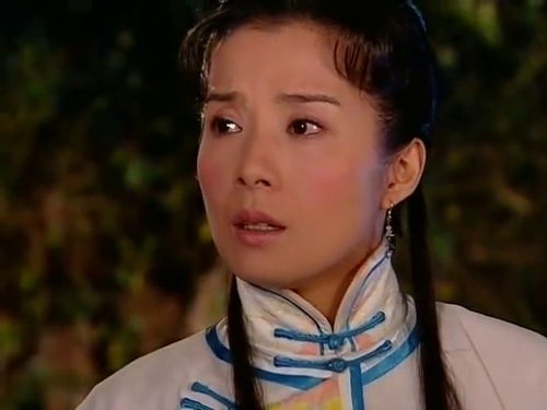夫人最新热播短剧在线观看，播放电视剧夫人