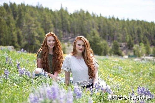 情似繁花渐落热播短剧 - 繁花似落青梅竹马