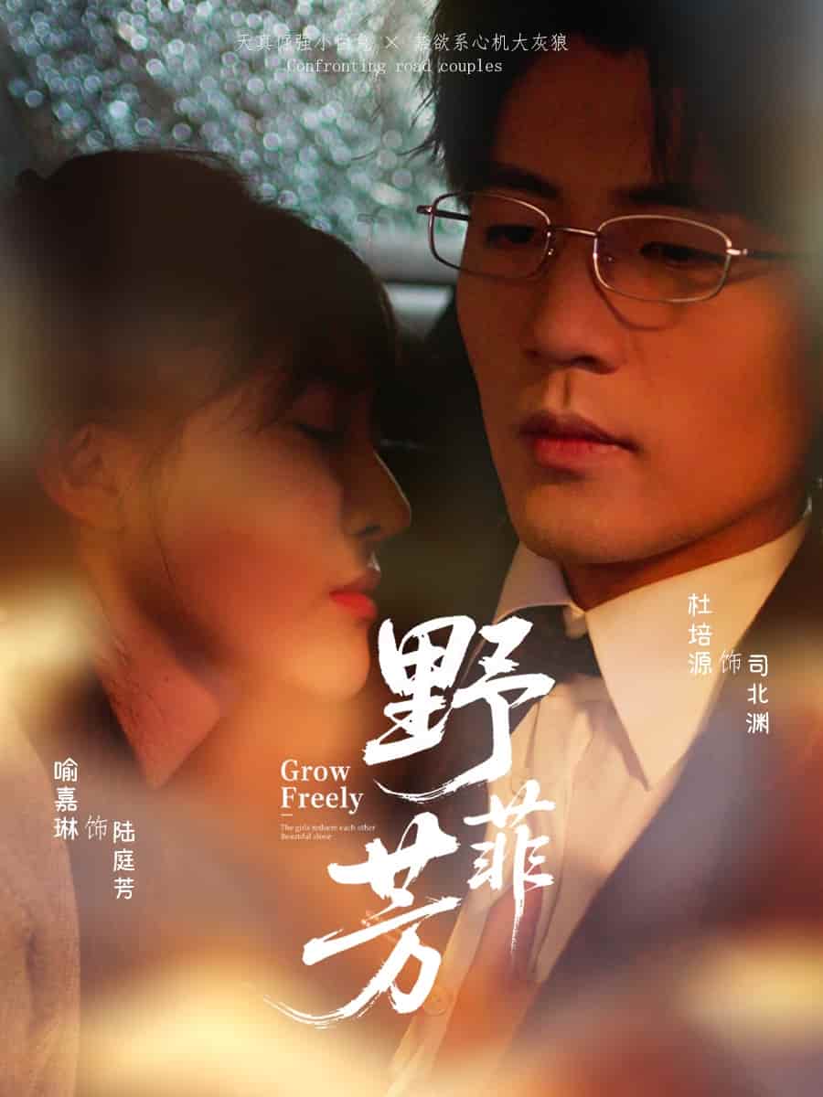 允禾热播短剧在线观看免费【允禩允禟】