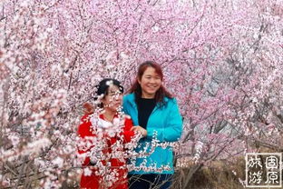 热播短剧山花绽放时横屏（山花绽放讲的什么）