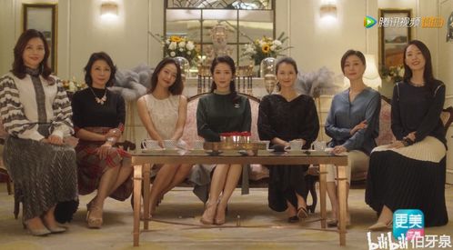 热播短剧夫人在线观看全集（夫人电视剧全集免费）