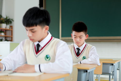 优酷热播的短剧有哪些（优酷短剧排行榜2021）