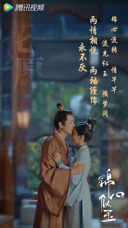 抖音热播电视剧短剧：抖音热播的电视剧