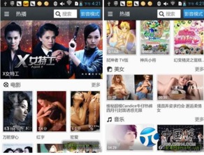 免费热播短剧播放器（播放热门的免费的电视剧）