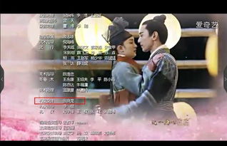 热播短剧世界因你温柔商夜街后续：世界因你而温柔小说