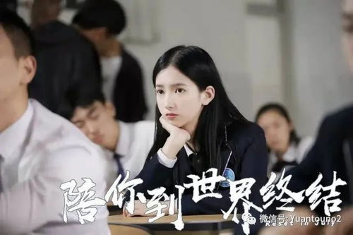 短剧热播好看停不下来：最新短剧
