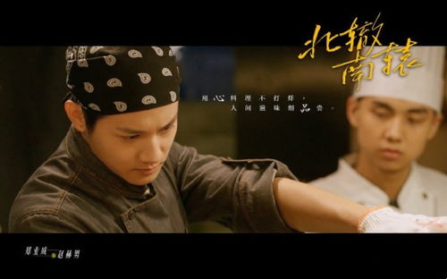 傅庭琛热播短剧在哪看，男主叫傅庭深小说