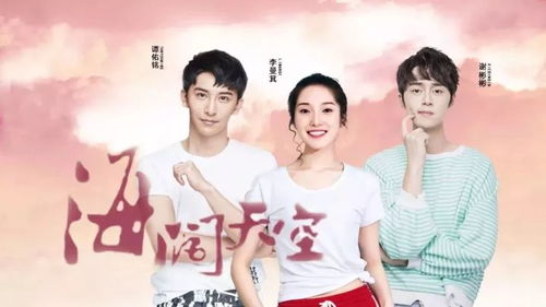 海阔天空热播短剧在线观看【海阔天空电视剧】