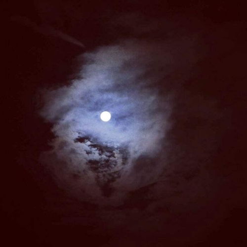 守得云开见月明短剧热播（守得云开见月明百科）
