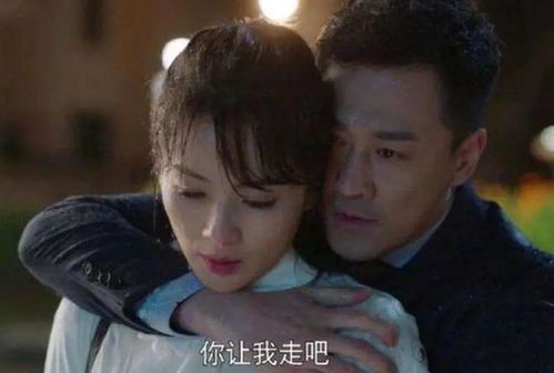 抖音热播短剧九天：抖音第九季28个视频