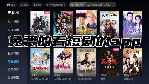 带你看热播短剧的软件：看短剧的app