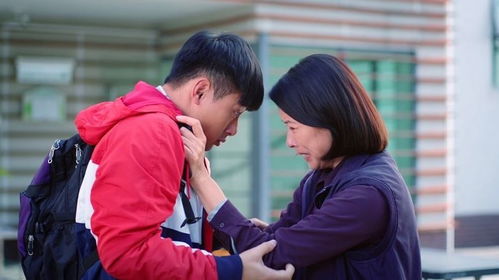 入赘后我仍是大佬短剧热播：入赘后的人生巅峰