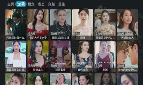 热播短剧在哪下载软件好 - 短剧视频