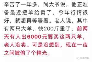 热播短剧破财源泪纵横（破财征兆是什么意思）