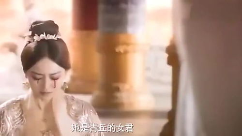 小九热播短剧视频大全集 - 小九热播短剧视频大全集在线观看