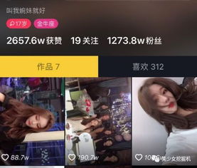 抖音热播短剧第一名：抖音第一爆火视频