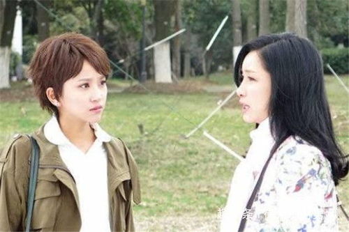 热播短剧小姑子要当大女主后续：小姑子当家的说说