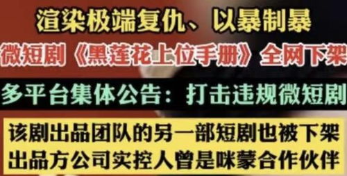 短剧热播盈盈赤子心 - 端午板书设计