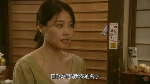 《盲心贵女》热播短剧：盲女心眼