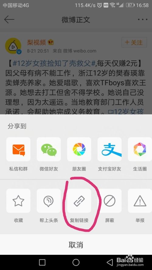 热播短剧如何下载视频到相册【短视频怎么下载保存】