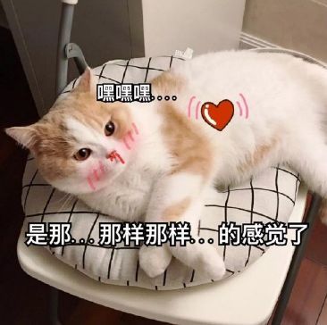 热播短剧功夫萌娃战神26 - 功夫萌宠游戏