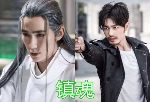 双男主热播剧短剧，正在热播的双男主电视剧