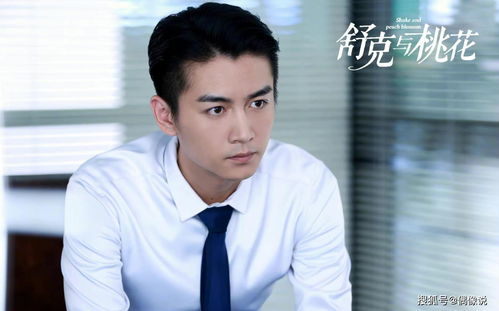热播短剧替身男友免费观看【替身男主电视剧】