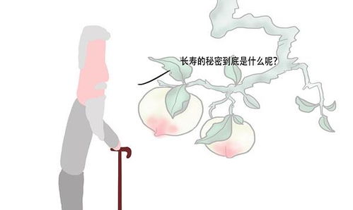 热播短剧熬夜追看攻略，熬夜追剧怎么补救