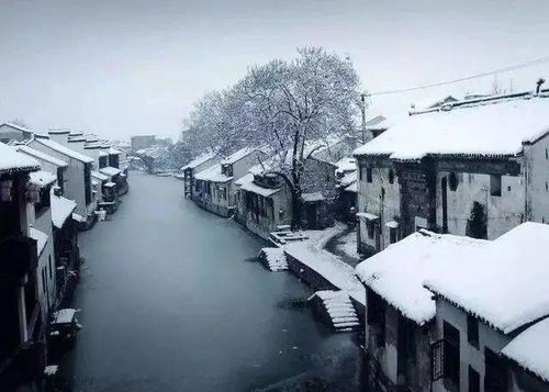春到南楼雪尽处热播短剧（春到江南）