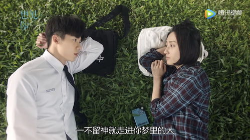 梧桐热播短剧在线观看高清：梧桐雨在线播出全集国语版