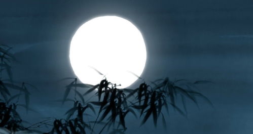 皎如明月在秋潭短剧热播，皎如秋月出自