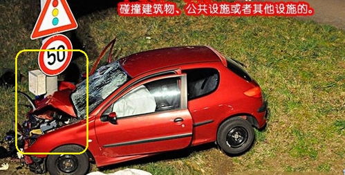 热播短剧私宠在线观看【私宠小宠物】