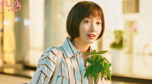热播短剧应龙大结局是什么（应龙最后去哪里了）