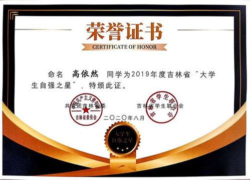 大学生扛着一扁担奖牌毕业，荣耀与责任的交织