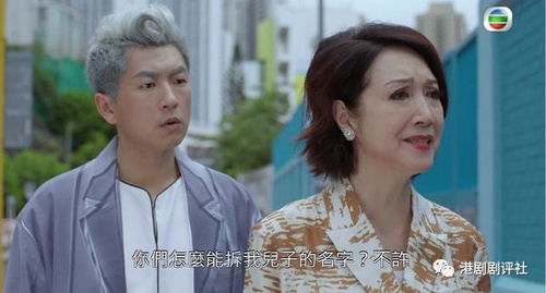 热播短剧剧情大全集最新：短剧情电视剧