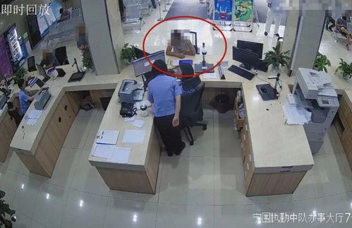 杨紫被质疑未使用原名，真相究竟如何？