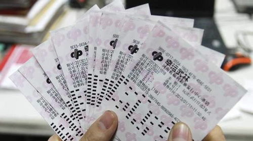 女子巧用家人生日买彩票，喜中1032万大奖！